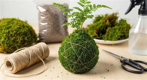 Exemple de kokedama