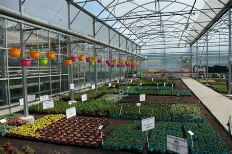Photo d'une serre bien rangée et entretenue, typique des établissements horticoles du Loiret