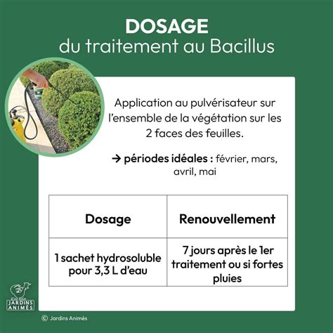 Infographie sur le fonctionnement du Bacillus thuringiensis