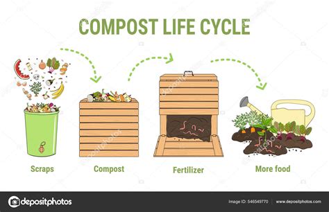 Exemple d'application de compost autour d'un arbre