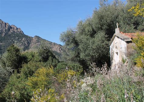 Paysage corse avec maquis et montagnes