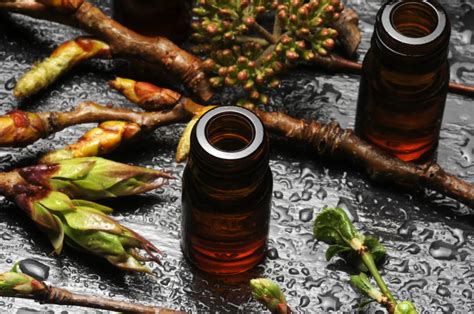 Précautions d'utilisation des produits de gemmothérapie