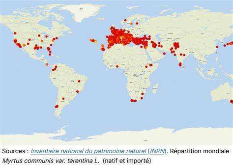 Répartition géographique des exportations de dattes
