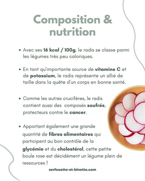 infographie sur les bienfaits nutritionnels du radis