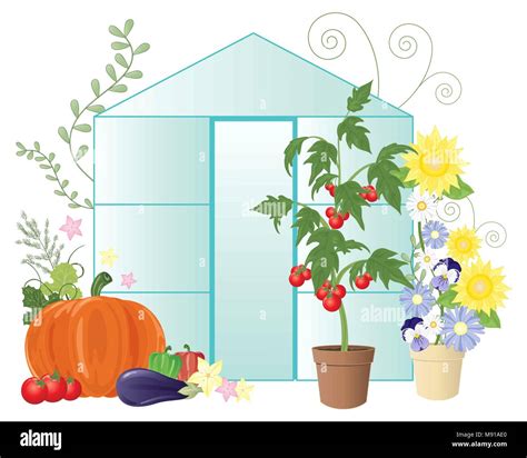 Illustration d'une serre horticole avec des plants de légumes