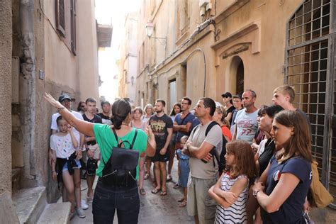 Visite guidée d'une safranière