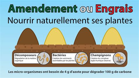 Engrais vs Amendement : infographie comparative