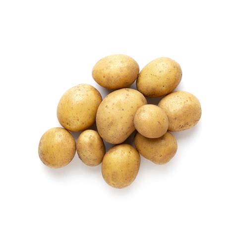 Variété de pomme de terre Starlette