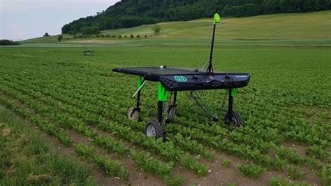 Robot de désherbage électrique du programme WeedElec