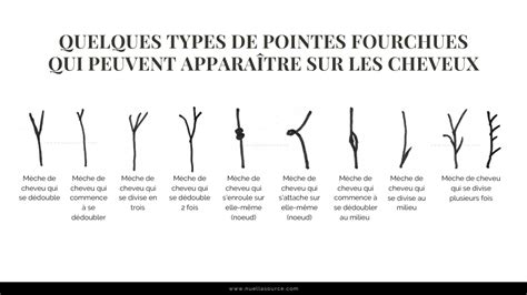 Schéma d'entretien des pointes de cheveux