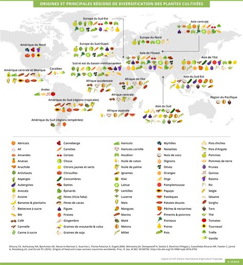 Carte mondiale des centres de diversité des plantes cultivées