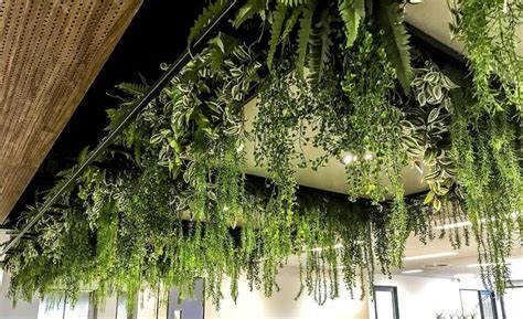 composition de plantes artificielles tombantes