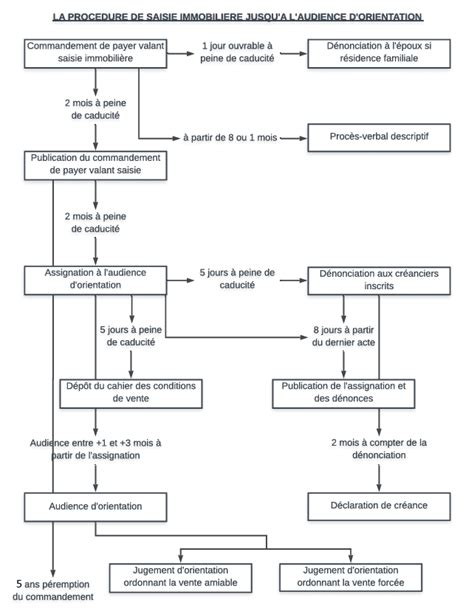 Schéma expliquant la procédure d'évaluation de l'âge des MENA et les points de contestation
