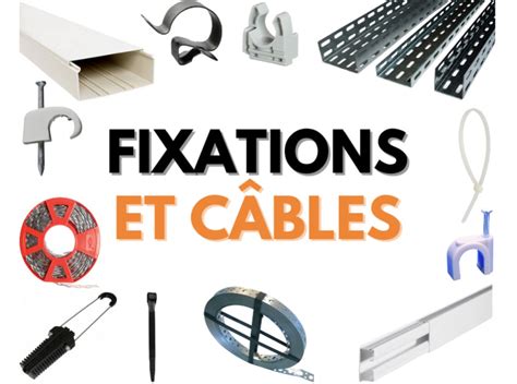 Installation des fixations pour câbles de palissage