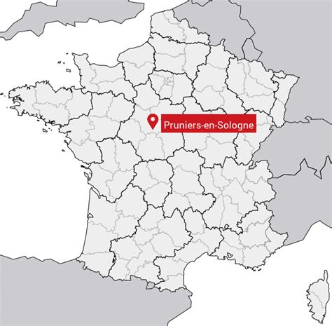 Carte de Pruniers en Sologne avec indications de services de santé