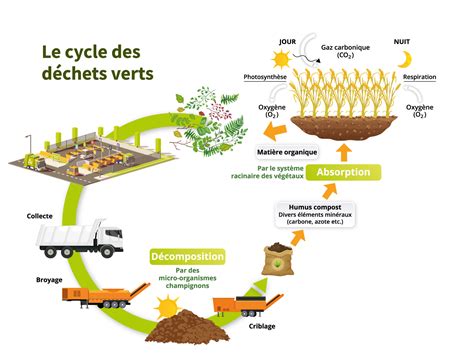 Diagramme illustrant le processus de compostage du fumier