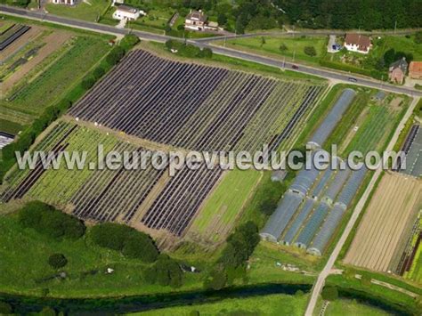 Vue aérienne d'exploitations maraîchères modernes