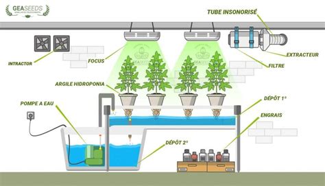 Schéma d'un système de jardinage hydroponique d'intérieur