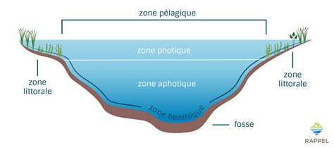 Schéma illustrant les différentes zones d'un jardin bien aménagé