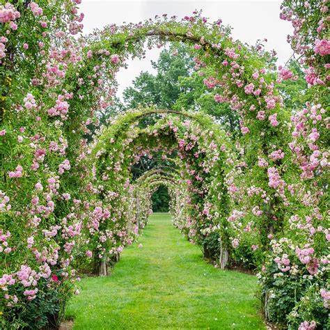 Vue d'ensemble d'un jardin structuré intégrant une arche de rosiers grimpants