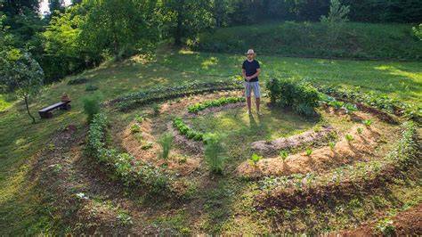 Diversité d'arbres et d'insectes dans un jardin permacole