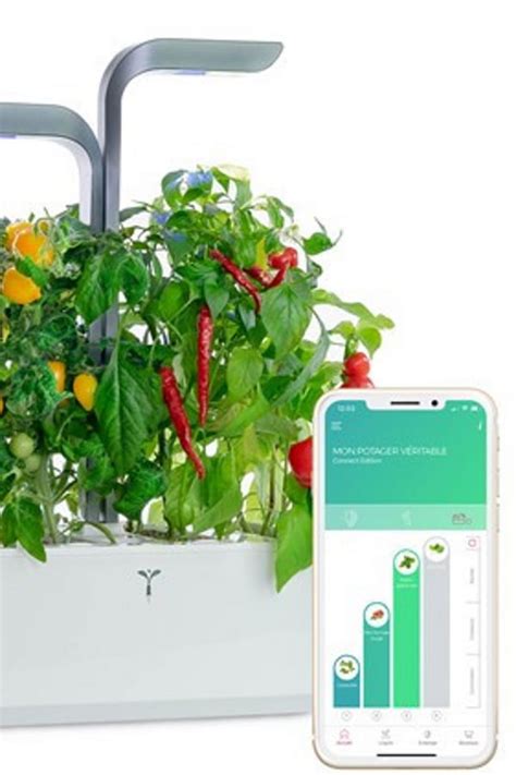 potager connecté dans la cuisine