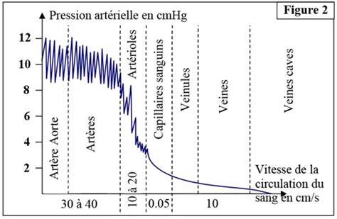 Graphique de la pression sanguine le long des différents types de vaisseaux