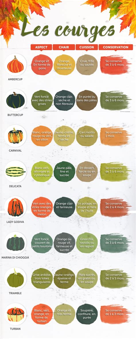 Tableau comparatif des variétés de courge butternut