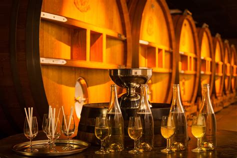 Dégustation de champagne dans une cave de récoltant-manipulant