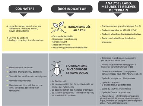 Diagramme des bioindicateurs utilisés pour évaluer la santé des sols (projet Microbioterre)