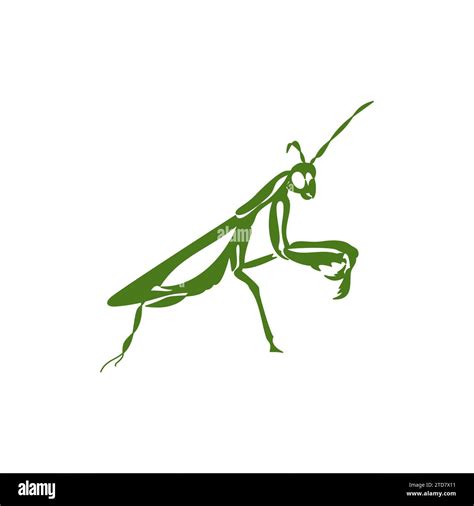 Illustration des Mantis Émeraudes dans Flyff