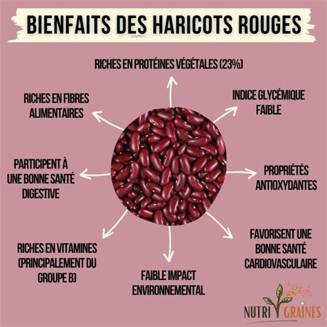 Représentation stylisée des bienfaits nutritionnels du haricot rouge