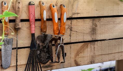 Outils de jardinage bien rangés dans un abri de jardin