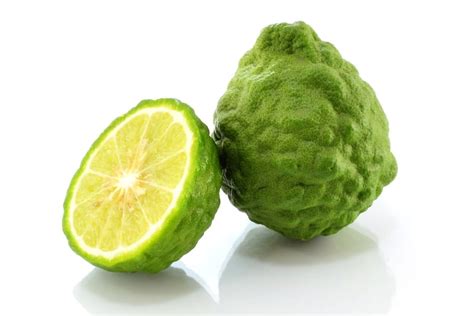Comparaison entre le fruit du combava et du citronnier jambhiri