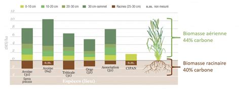Production de biomasse aérienne et racinaire de CIVE d’hiver en 2017