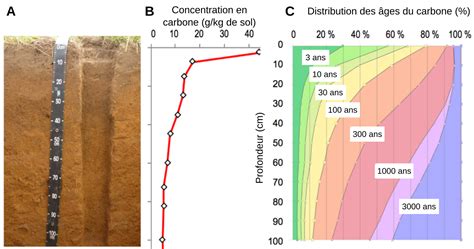 Évolution du stock de carbone organique du sol sur 0-30cm de profondeur pour une rotation blé/orge d’hiver/maïs grain irrigué avec une CIVE d’hiver, une CIPAN ou un sol nu avant le maïs grain, en sol de terreforts