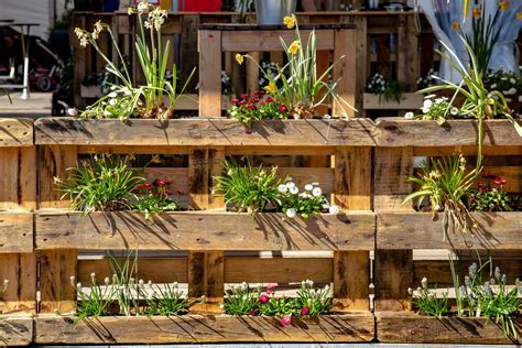 jardin vertical avec palette