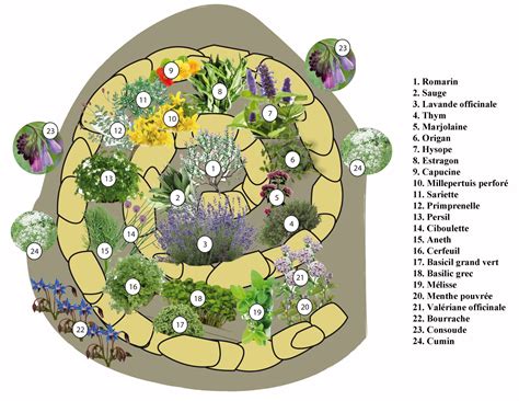 Jardin fleuri avec diverses plantes aromatiques