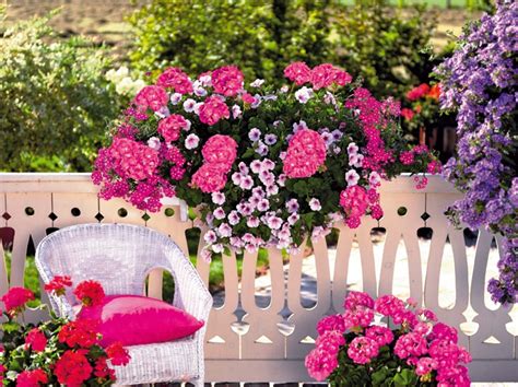 Jardinière mixte avec basilic, menthe et géranium