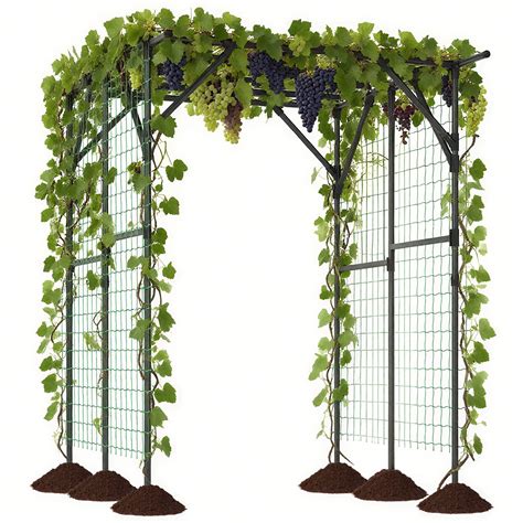 Allée de jardin végétalisée avec des plantes grimpantes sur treillis