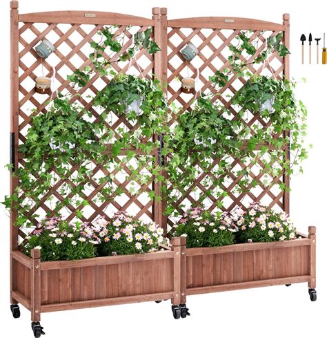 Jardinières en bois avec treillis et plantes grimpantes