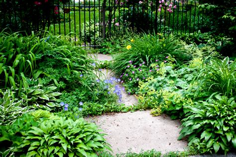 liste plantes adaptées ombre