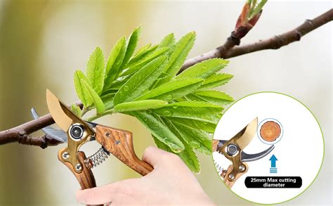 Outil de jardinage : sécateur