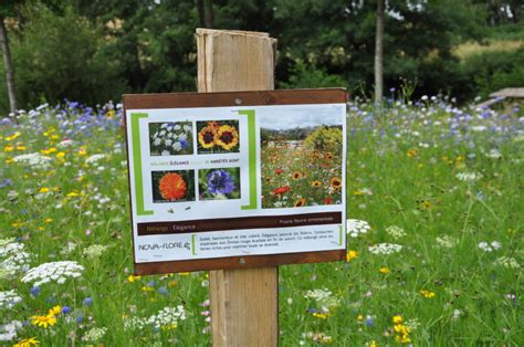 Panneau d'information sur la protection des fleurs sauvages