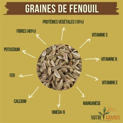 image de graines de fenouil dans une cuillère