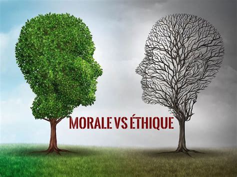 Schéma illustrant la coopération et la morale chez les primates