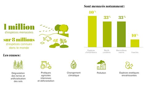 Infographie montrant la diminution des zones florales et l'augmentation des zones urbanisées