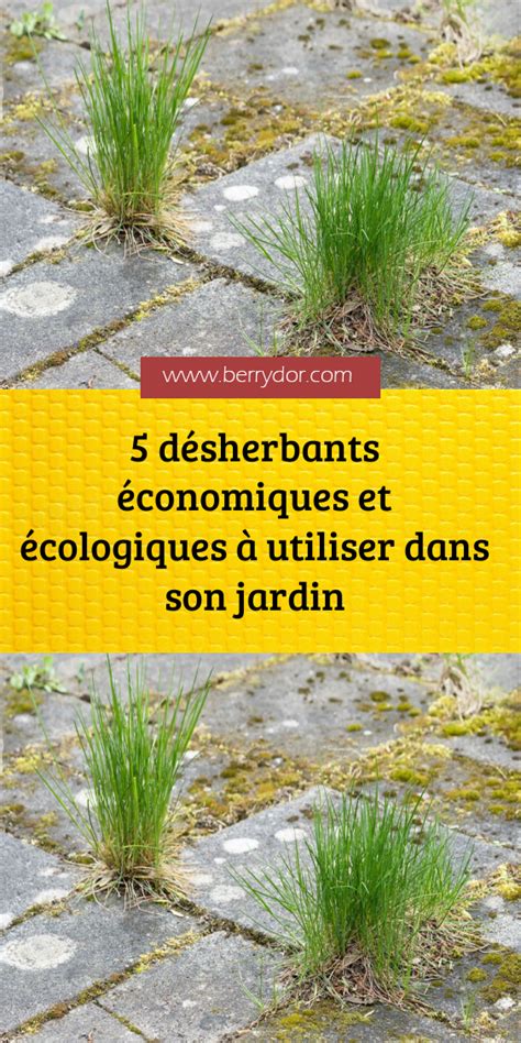Assortiment de désherbants écologiques disponibles chez Castorama