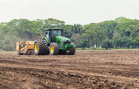 Préparation des sols pour pommiers