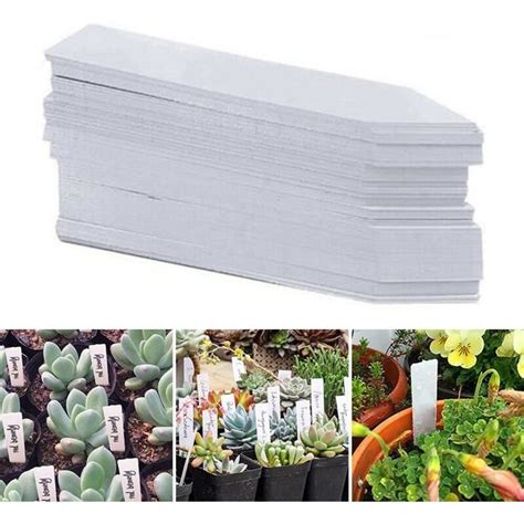 Étiquettes de jardin pour identifier les plantes